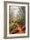 On the Misty Coast Trail at Muir Woods-Vincent James-Framed Photographic Print