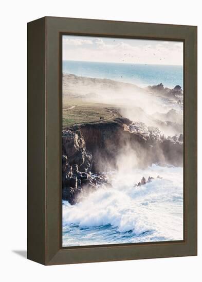 On the Misty Trail, Sonoma Coast, California State Parks-Vincent James-Framed Premier Image Canvas