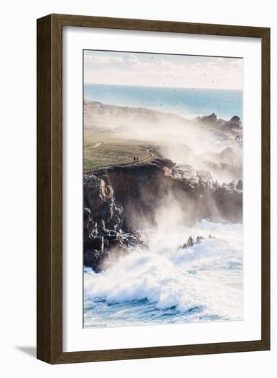 On the Misty Trail, Sonoma Coast, California State Parks-Vincent James-Framed Photographic Print