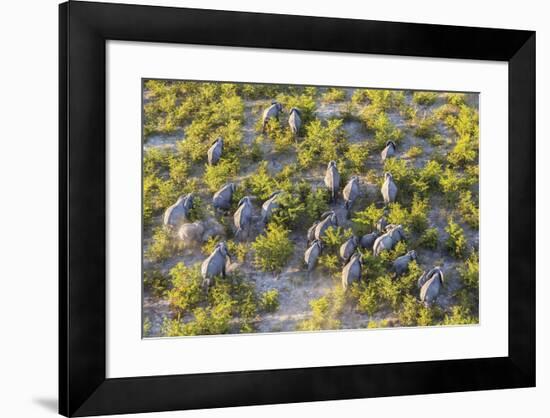 On the Move - Elephants-null-Framed Giclee Print