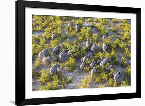 On the Move - Elephants-null-Framed Giclee Print