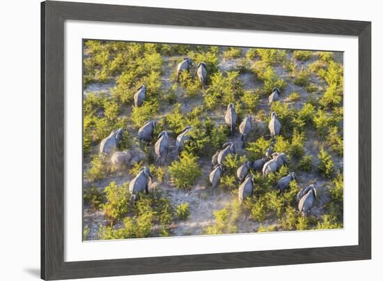 On the Move - Elephants-null-Framed Giclee Print