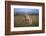 On the Prowl-Xavier Ortega-Framed Photographic Print