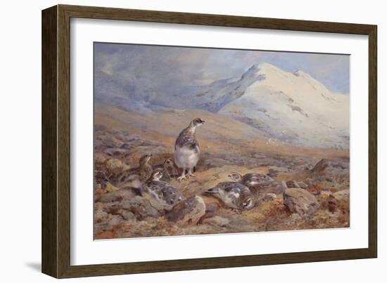 On the Ptarmigan Ground watercolor-Archibald Thorburn-Framed Giclee Print