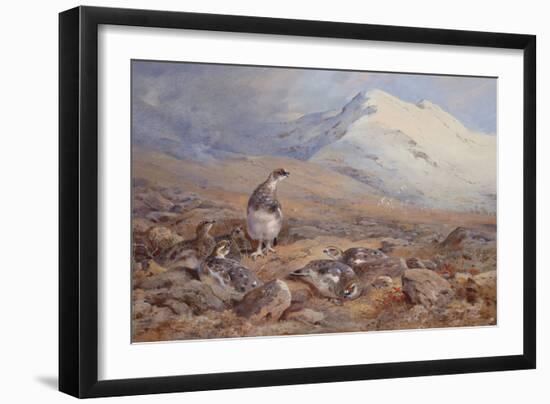 On the Ptarmigan Ground watercolor-Archibald Thorburn-Framed Giclee Print