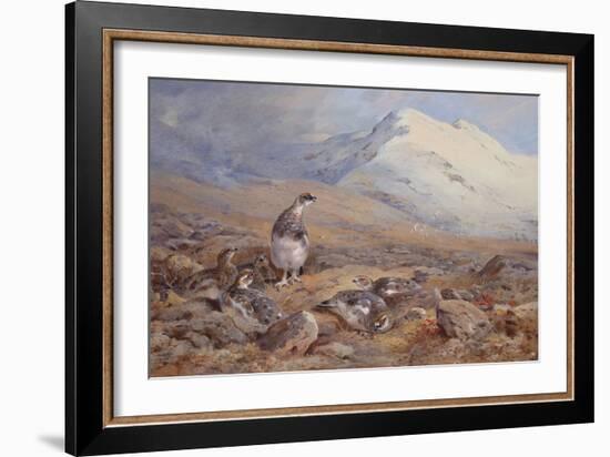On the Ptarmigan Ground watercolor-Archibald Thorburn-Framed Giclee Print