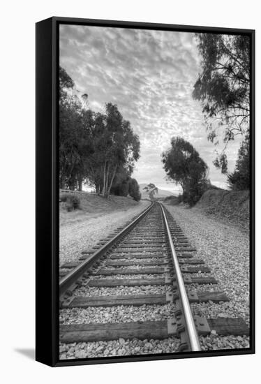 On The Right Track-Chris Moyer-Framed Stretched Canvas