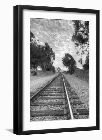 On The Right Track-Chris Moyer-Framed Photographic Print
