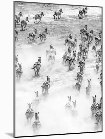 On the Run in Tanzania-Art Wolfe-Mounted Photographic Print