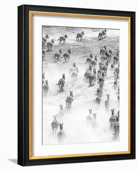 On the Run in Tanzania-Art Wolfe-Framed Photographic Print