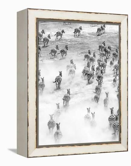On the Run in Tanzania-Art Wolfe-Framed Premier Image Canvas