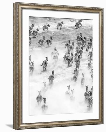 On the Run in Tanzania-Art Wolfe-Framed Photographic Print