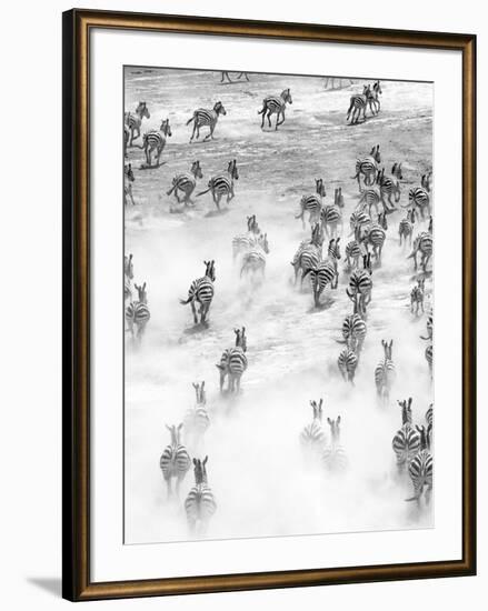 On the Run in Tanzania-Art Wolfe-Framed Photographic Print