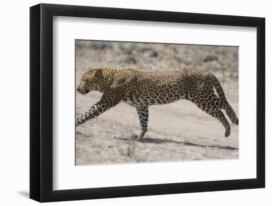 On The Run-Scott Bennion-Framed Photo