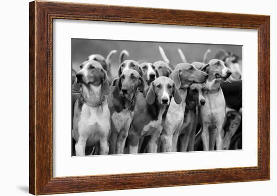 On The Scent-The Chelsea Collection-Framed Premium Giclee Print