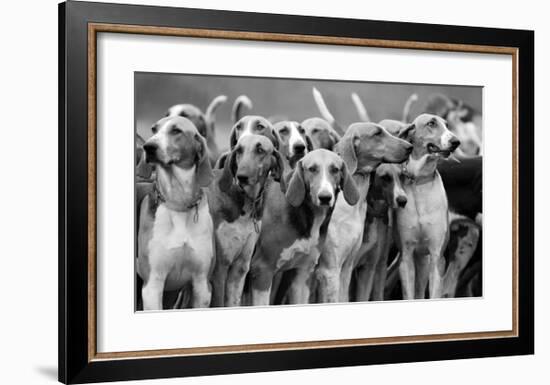 On The Scent-The Chelsea Collection-Framed Premium Giclee Print