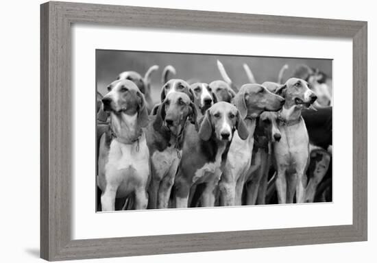 On The Scent-The Chelsea Collection-Framed Premium Giclee Print