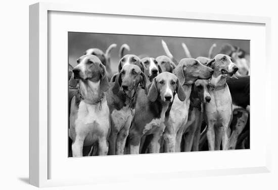 On The Scent-The Chelsea Collection-Framed Premium Giclee Print