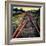 On the Tracks-Jody Miller-Framed Photographic Print