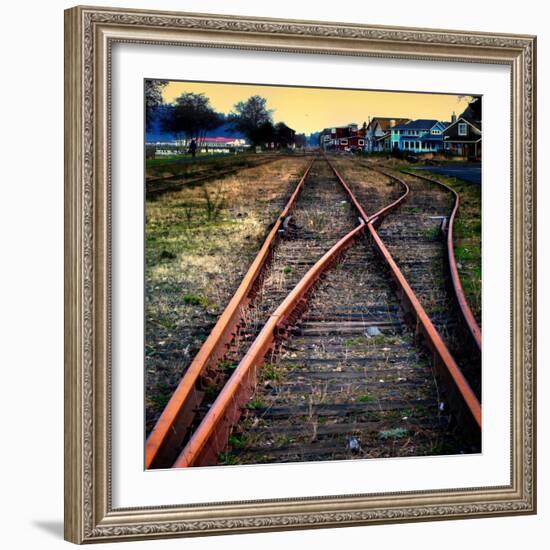 On the Tracks-Jody Miller-Framed Photographic Print