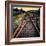 On the Tracks-Jody Miller-Framed Photographic Print