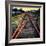 On the Tracks-Jody Miller-Framed Photographic Print