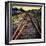 On the Tracks-Jody Miller-Framed Photographic Print