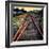 On the Tracks-Jody Miller-Framed Photographic Print