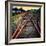 On the Tracks-Jody Miller-Framed Photographic Print