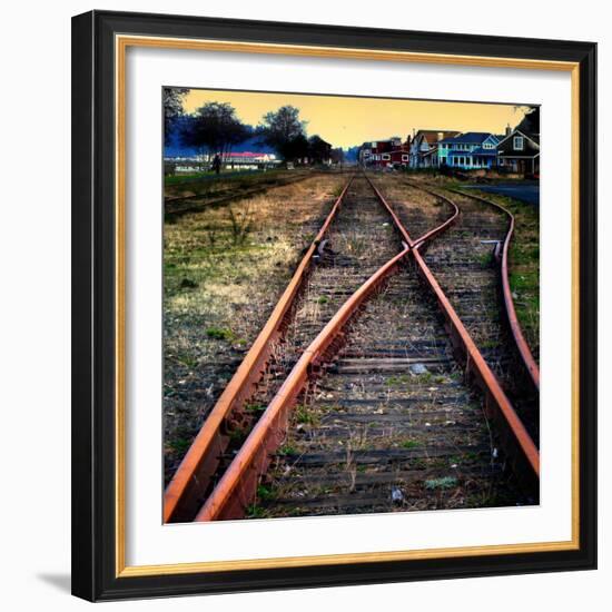 On the Tracks-Jody Miller-Framed Photographic Print