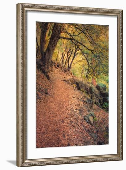 On the Trail to Chilnualna Falls, Yosemite-Vincent James-Framed Photographic Print