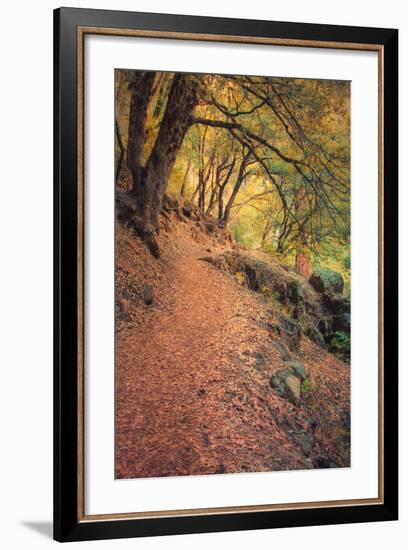 On the Trail to Chilnualna Falls, Yosemite-Vincent James-Framed Photographic Print