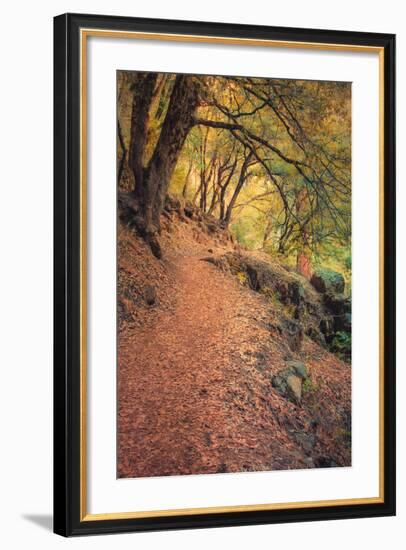 On the Trail to Chilnualna Falls, Yosemite-Vincent James-Framed Photographic Print