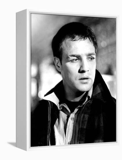 On the Waterfront, Marlon Brando, 1954-null-Framed Stretched Canvas