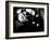 On The Waterfront, Rod Steiger, Marlon Brando, 1954-null-Framed Photo