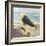 On the Waterfront-Donna Geissler-Framed Giclee Print