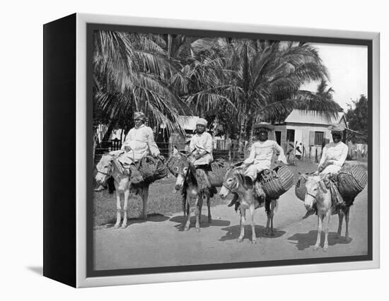 On the Way Home from Market, Jamaica, C1905-Adolphe & Son Duperly-Framed Premier Image Canvas