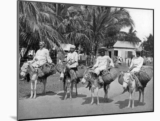 On the Way Home from Market, Jamaica, C1905-Adolphe & Son Duperly-Mounted Giclee Print