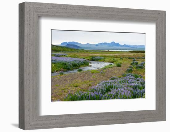 On the Way on the Golden Circle-Catharina Lux-Framed Photographic Print