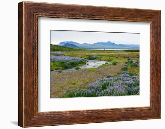 On the Way on the Golden Circle-Catharina Lux-Framed Photographic Print