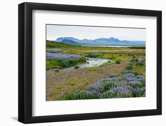 On the Way on the Golden Circle-Catharina Lux-Framed Photographic Print