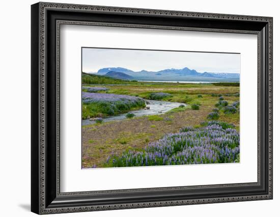 On the Way on the Golden Circle-Catharina Lux-Framed Photographic Print