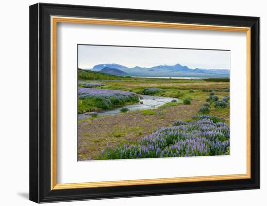 On the Way on the Golden Circle-Catharina Lux-Framed Photographic Print