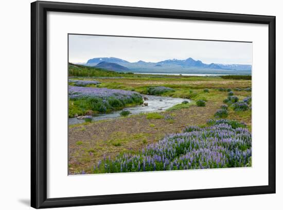 On the Way on the Golden Circle-Catharina Lux-Framed Photographic Print