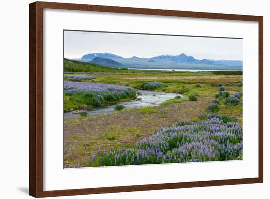 On the Way on the Golden Circle-Catharina Lux-Framed Photographic Print