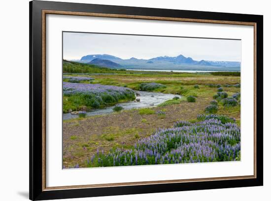 On the Way on the Golden Circle-Catharina Lux-Framed Photographic Print