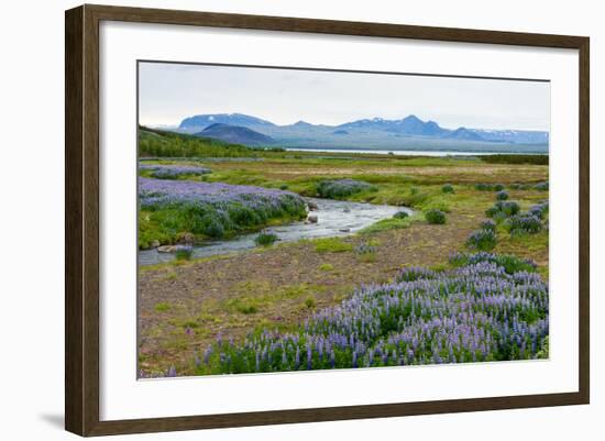 On the Way on the Golden Circle-Catharina Lux-Framed Photographic Print