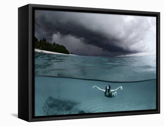 On the wings of the storm-Andrey Narchuk-Framed Premier Image Canvas