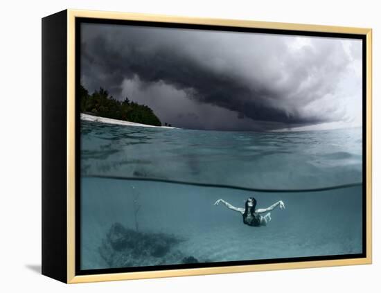 On the wings of the storm-Andrey Narchuk-Framed Premier Image Canvas