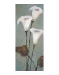 Ode to Spring-Onan Balin-Stretched Canvas